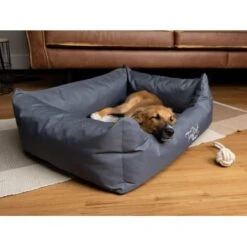 TrendPet Viscado Orthopädisches Hundebett Grau S -Zoofachgeschäft b850f0e6c4e433c511ed7d8550b95f4b81723b8b 1223491 de DE bc0da1f4eff9981843ce75ffd5100a6220d26b79BDc1to