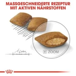 ROYAL CANIN Exigent Mini 3 Kg 11 ROYAL CANIN Exigent Mini 3 Kg -Zoofachgeschäft b8aa1c376b27f5425488e69d0cf81a397e0a03b5 ff7040fb29ee84f9d3542289043146698d974fd8