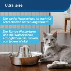 PetSafe Trinkbrunnen Seaside 7 PetSafe Trinkbrunnen Seaside -Zoofachgeschäft b8c30eb80c3b41d9f97ae45dfa553a3f3cf275d0 1423699 de DE 574133d75b37dd533cfefe79c3b58691ae333d20jypsKp