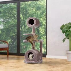 MORE FOR Kratzbaum Jive -Zoofachgeschäft ba465afaa9ffb7d77bc7734ed7dbb785ff76646f d6a5a8b38136f1f66656c79e1a87133b075995b8