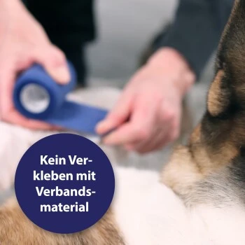 Canosept Wundgel Für Hunde 20 Ml 2 Canosept Wundgel Für Hunde 20 Ml – Bild 2