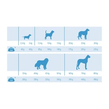 MultiFit Light Mit Geflügel & Reis 12kg 3 MultiFit Light Mit Geflügel & Reis 12kg – Bild 3