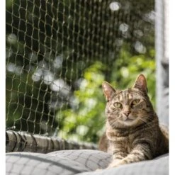 Trixie Katzenschutznetz Cat Protect 2 M, 1,5 M 5 Trixie Katzenschutznetz Cat Protect 2 M, 1,5 M -Zoofachgeschäft bc6f0b8052c3a5b997776619d64762770aac1a9d 1017572 de DE trixie schutznetz wb2