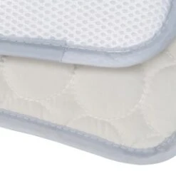 Zoofachgeschäft -Zoofachgeschäft be0ff6816cbab10ba8693fe91d51482cdb329871 1397583 1