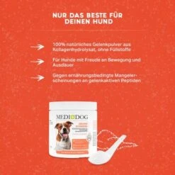 MediDog Gelenkschmiere 6 MediDog Gelenkschmiere -Zoofachgeschäft c2260bdbd924fcc5c3919c27254c4c1dc8dd9d9a 1660407 de DE 24aca3d9f49784b2b40f2e4078cdf1aaa1e37af9iudOQZ