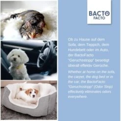 ChronoBalance BactoFacto Probiotischer Geruchsstopp Pads Für 2 Liter 20 Ml 11 ChronoBalance BactoFacto Probiotischer Geruchsstopp Pads Für 2 Liter 20 Ml -Zoofachgeschäft c27e75fc226c89e592b2af9866887997e79057a8 1397549 de DE 11eaf103bff429178d8c79950fc83faf63345183BU6JEF