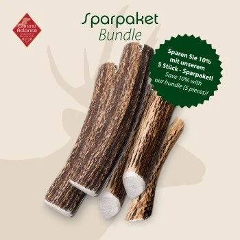 ChronoBalance Geweih Ganz (XL) 2er Paket 2 ChronoBalance Geweih Ganz (XL) 2er Paket – Bild 2