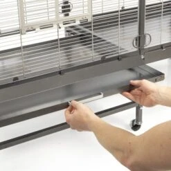 Montana Cages Voliere Paradiso 150 Hellgrau/ Dunkelgrau 9 Montana Cages Voliere Paradiso 150 Hellgrau/ Dunkelgrau -Zoofachgeschäft cff8935c3d42b5f1afc2a2b9b04835d436e40235 1330426 de DE e8d83e5dd901aa0fdc571bf479d1c2e553b74a95Qcbq2F