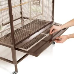 Montana Cages Voliere Villa Casa 90 8 Montana Cages Voliere Villa Casa 90 -Zoofachgeschäft d3e1acc4f4fea95d5e1ff3eb5a4418e7ec0d97f9 1039422 de DE cee2563bfecbea93636721e8f6876b8ca1589c54fMY38l