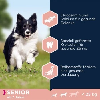 EUKANUBA Senior Small & Medium Breed Lamm & Reis 12 Kg 3 EUKANUBA Senior Small & Medium Breed Lamm & Reis 12 Kg – Bild 3