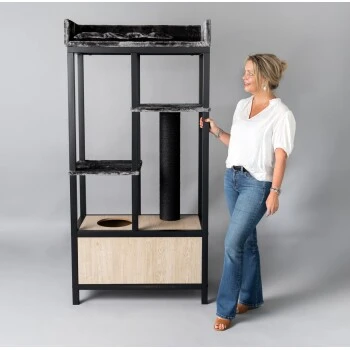 RHR Quality RHRQuality Maine Coon Feline Elite 190 Anthrazit/ Schwarz 2 RHR Quality RHRQuality Maine Coon Feline Elite 190 Anthrazit/ Schwarz – Bild 2