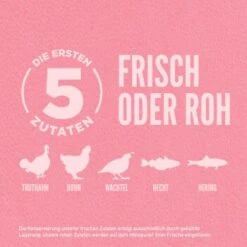 Orijen Small Breed 1,8 Kg 7 Orijen Small Breed 1,8 Kg -Zoofachgeschäft d85d8823c70a5151eb6a193c1befccd8e6d56917 1350899 de DE ORI Small Breed Dog Carousel 2000x2000 DE 1