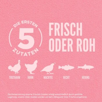 Orijen Small Breed 1,8 Kg 3 Orijen Small Breed 1,8 Kg – Bild 3