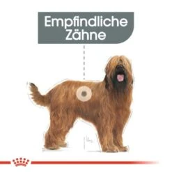 ROYAL CANIN Dental Care Maxi 9 Kg 11 ROYAL CANIN Dental Care Maxi 9 Kg -Zoofachgeschäft d879558a27b10927060f06ffe48b3b16c9a5fa05 1a0c53f3ef6bd0e9059362423d9c09b49ac2d8c6