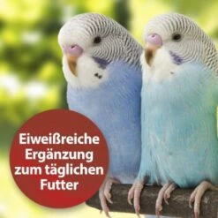 Quiko Bierhefe 400g: Eiweißreiche Ergänzung Zum Täglichen Futter Für Ziervögel -Zoofachgeschäft dbea3a9534bfd87d9c3612a707b4b2a72d3b88e8 1386526 de DE 81b3ddf78d2ba1575bc8dd1b556a4d784786c157kjWBy7