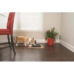 PetSafe Digitaler Futterautomat Für 2 Mahlzeiten -Zoofachgeschäft dd3fb1748ad72abb1dbd97f6f077b00bb4d76d05 1291255 de DE cf72a75b3fd4f7fd8b7e51ea368585b22239110fFJga5O