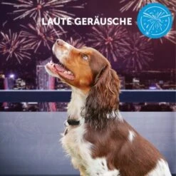 ADAPTIL Calm Halsband Anti Stress Erziehungshalsband S-M 15 ADAPTIL Calm Halsband Anti Stress Erziehungshalsband S-M -Zoofachgeschäft e065c94a1eadac38177e4f3120e975f32282355e 1204441 10