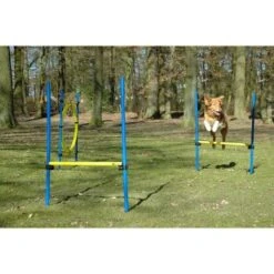 Dobar 3-teiliges Agility Sprung-Set,, Inkl. Tragetasche -Zoofachgeschäft e19a43c32e5475e52612a085e8cbd1534b2dc9fa 8221a8d0e14f9b0559cde2bc9433e0021b66efc4