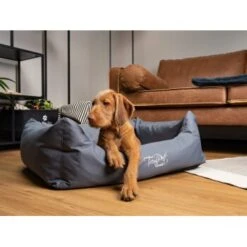 TrendPet Viscado Orthopädisches Hundebett Grau S -Zoofachgeschäft e3085ac3bd300c2cb1b93e036022a0cce5e9ad00 1223491 de DE 9354cb70cec83749c3d5c1a85e99e98471884a1bP95Ter