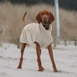 THE DOG IDEA Bademantel Every Beige XXXS 9 THE DOG IDEA Bademantel Every Beige XXXS -Zoofachgeschäft e3729773c9f5b61c18a464eeb5076e81a866013e 1472946 de DE ac504db57b88122680c4cb56470ea23721b69c99VnzO7V