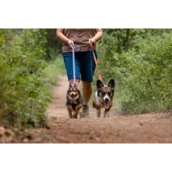 Ruffwear Front Range™ Leine Violett 19 Ruffwear Front Range™ Leine Violett -Zoofachgeschäft e3a0d194199f2c3e8abe24ccd047542b76343731 1651455 de DE 1585a1c98b60d12d5d577f43178578f3b8f89241TOwtSr