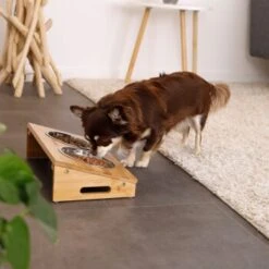 Lionto Futterstation Mit Bambusgestell -Zoofachgeschäft e762634a87a53c4042e5b63f5ad9a631025e7cef 1665980 de DE 6bec3df4da87afbd35f2bf89c4f6a17e28748e22vGZNCF