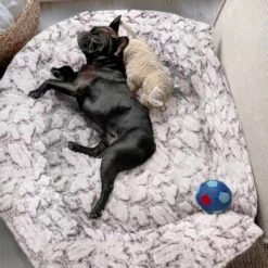 Wallace & Jones Hundebett Cordo-Heaven S 14 Wallace & Jones Hundebett Cordo-Heaven S -Zoofachgeschäft e93a1c7230d5e68bce6327ea17899707386bce88 1449008 de DE cd9be4db759cf7be03c3a1803409c0da67c4816eifOskb