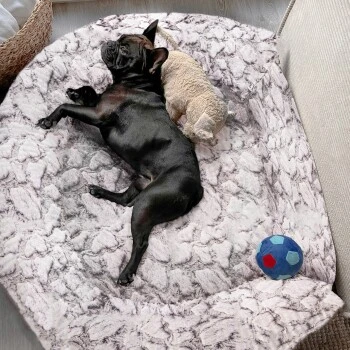 Wallace & Jones Hundebett Cordo-Heaven S 7 Wallace & Jones Hundebett Cordo-Heaven S – Bild 7