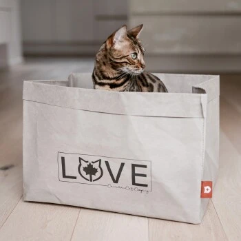 Canadian Cat Company Katzenbett Winnipeg 8 Canadian Cat Company Katzenbett Winnipeg – Bild 8