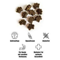 Eat Small EatSmall 20x Snacks Mindful -Zoofachgeschäft eadf2e849e4c9438afeab7cb6882b96d86ca2be2 1480040 de DE 9bb047cd7a4c44961702e9fa1c0765006786164evUWqZk