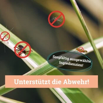 BeG Buddy Fellspray Zecke 6 BeG Buddy Fellspray Zecke – Bild 6