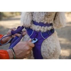 Ruffwear Front Range™ Leine Violett 16 Ruffwear Front Range™ Leine Violett -Zoofachgeschäft eb2f9759d53ffaaebfe530ff03ce98c7a48a56d1 1651455 de DE 2df17f72915d6716e32ef884f8fc79995debc11eCsj6N1