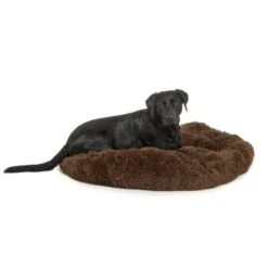 Wallace & Jones Plüschbett Sarnia M Braun -Zoofachgeschäft eded511b68ed9015eaff2077a6b669002854f714 1371486 de DE fd86e10898f57e8b7bd22cdaddd6a5923d7b28e2iGVWqQ