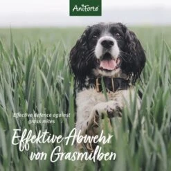 Aniforte Grasmilben-EX Spray Für Hunde 500ml 6 Aniforte Grasmilben-EX Spray Für Hunde 500ml -Zoofachgeschäft f1681a58b880d49267b5877e09c99fc6406a033b 1655910 de DE e3905507b4127feea49671bfd5a4aadf45361666Vq4xRH