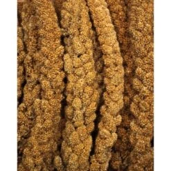 JR Farm Gelbe Kolbenhirse 1,5 Kg 5 JR Farm Gelbe Kolbenhirse 1,5 Kg -Zoofachgeschäft f38b3973c37de3c4049cfe33760d45f9b1030524 bf617f613049b6bf32c99e0b1ff1845b71b1521d