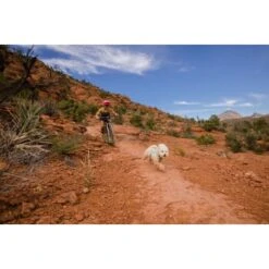 Ruffwear Swamp Cooler Zip™ Kühlweste Für Hunde Pink XL 21 Ruffwear Swamp Cooler Zip™ Kühlweste Für Hunde Pink XL -Zoofachgeschäft f39337d577f60e5d30ba5addfb811febecbc66e7 1639652 de DE 1ff9fca93caed68be3a65cc55ad0d154f81bf268suJpN2