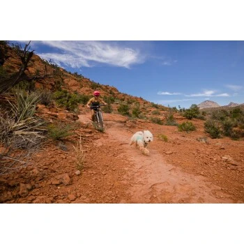 Ruffwear Swamp Cooler Zip™ Kühlweste Für Hunde Pink XL 11 Ruffwear Swamp Cooler Zip™ Kühlweste Für Hunde Pink XL – Bild 11