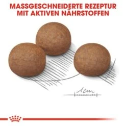 ROYAL CANIN Digestive Care Maxi 12 Kg -Zoofachgeschäft f45f6f9c96cfc670b039824ac685fd561449bcb6 1376252 de DE iajs 7