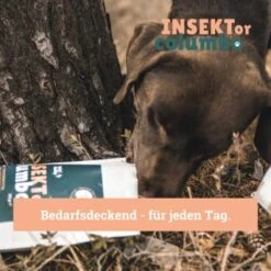 BeG Buddy Trockenfutter Insekten, Hypoallergenes Insektenfutter - Sensitive 4 Kg 10 BeG Buddy Trockenfutter Insekten, Hypoallergenes Insektenfutter - Sensitive 4 Kg -Zoofachgeschäft f85f63dc5514e39c7ef9a303fe5acb15de845d29 1457248 de DE 123bfe8a8f9618b3a58ac5efe483c5e0ad6f0bd2eHaCTU