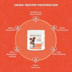 MediDog Gelenkschmiere 7 MediDog Gelenkschmiere -Zoofachgeschäft f89c412148fe6167c351b06b0ee492955ebb326a 1660407 de DE ffe7c4d39b2b93dbb40f3d50b747704dae1b090aqCMD23