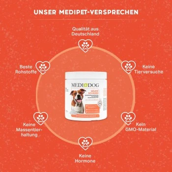MediDog Gelenkschmiere 4 MediDog Gelenkschmiere – Bild 4