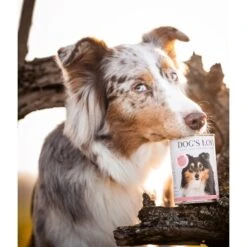 DOG'S LOVE Adult Hypoallergen 6x400g -Zoofachgeschäft f9f1fc4aa515eab49cf2248bceb6cc0121fe13fb 1274558 1