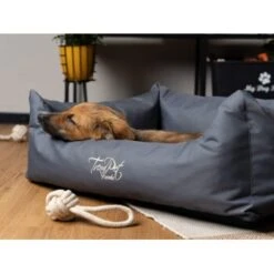 TrendPet Viscado Orthopädisches Hundebett Grau S -Zoofachgeschäft fa523fcf214ad29948357f749f8411c84318d608 1223491 de DE 74cdf346c57dca6a823d241257081a9c82df4746q2Hpnp