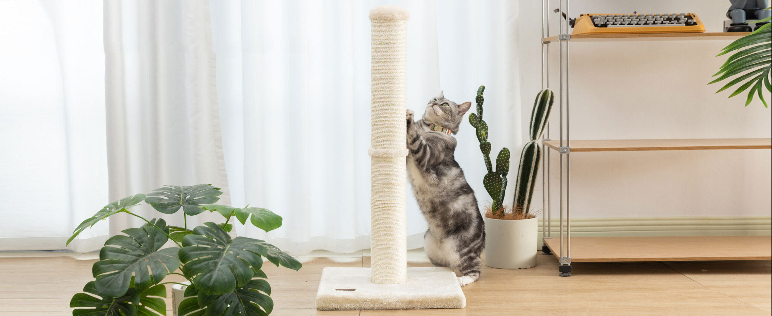 Zoofachgeschäft -Zoofachgeschäft 2 scaled